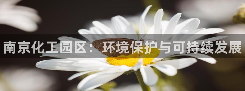 亿万千百十：南京化工园区：环境保护与可持续发展