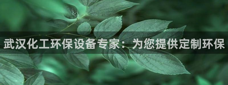 亿万先生合并网址在哪：武汉化工环保设备专家：为您提供定制环保