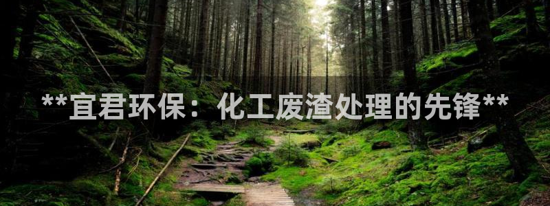 亿万先生网页版：**宜君环保：化工废渣处理的先锋**