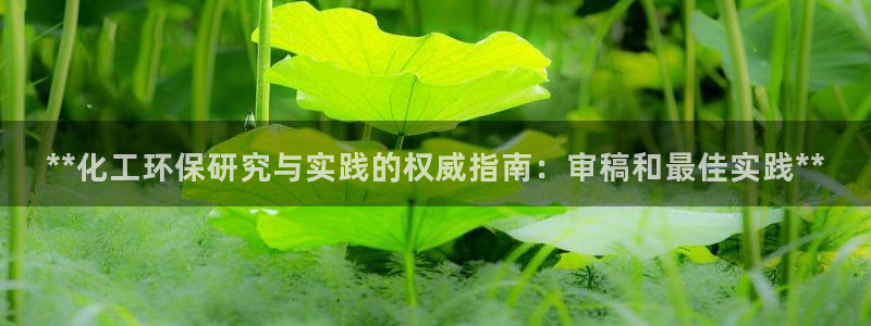 亿万国际app：**化工环保研究与实践的权威指南：审稿和最佳实践**