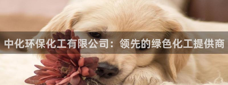 亿万视频：中化环保化工有限公司：领先的绿色化工提供商