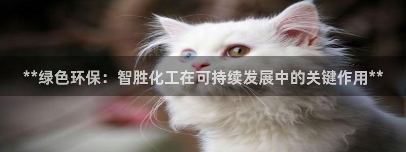 电影 亿万：**绿色环保：智胜化工在可持续发展中的关键作用**