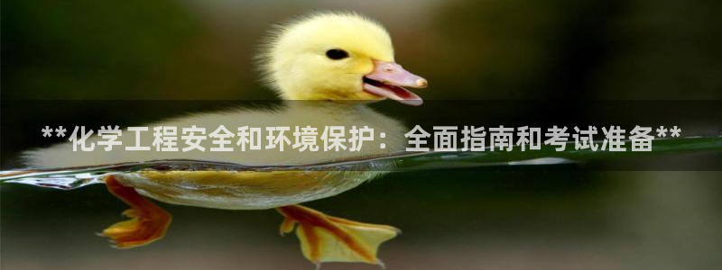 亿万讲了什么：**化学工程安全和环境保护：全面指南和考试准备**