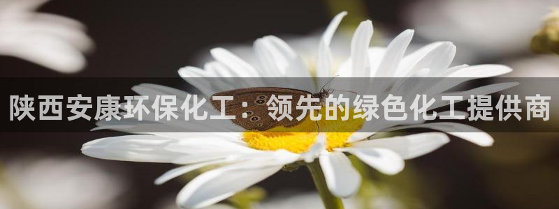 亿万网红：陕西安康环保化工：领先的绿色化工提供商