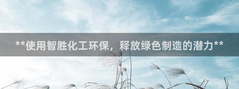 亿万国际：**使用智胜化工环保，释放绿色制造的潜力**