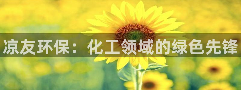 亿万先生网站下载：凉友环保：化工领域的绿色先锋
