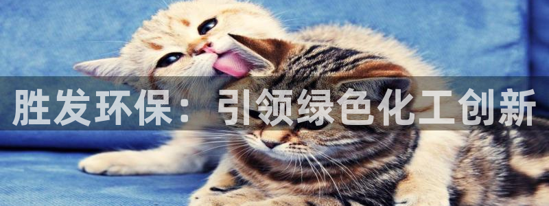 mr001亿万先生：胜发环保：引领绿色化工创新