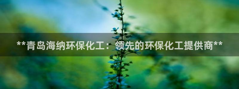 亿万先生网页版：**青岛海纳环保化工：领先的环保化工提供商**