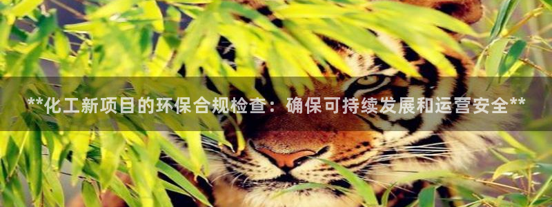 亿万第一季字幕：**化工新项目的环保合规检查：确保可持续发展和运营安全**