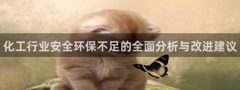 亿万先生客户端官网登录不上：化工行业安全环保不足的全面分析与改进建议