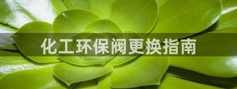 亿万先生官方网站客户端下载安装最新版：化工环保阀更换指南