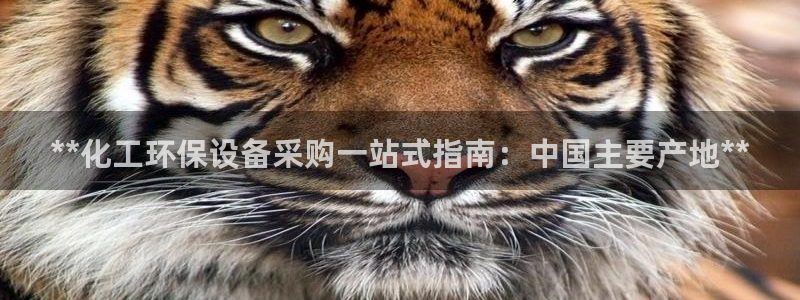 亿万剧情简介：**化工环保设备采购一站式指南：中国主要产地**