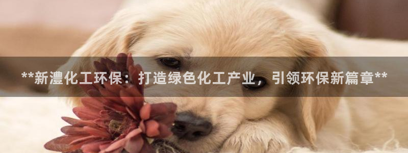 亿万先生手机网页：**新澧化工环保：打造绿色化工产业，引领环保新篇章**