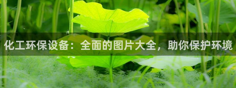 亿万国际平台是正规的吗安全吗：化工环保设备：全面的图片大全，助你保护环境