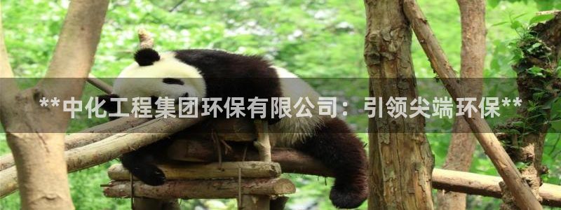 亿万先生合并：**中化工程集团环保有限公司：引领尖端环保**
