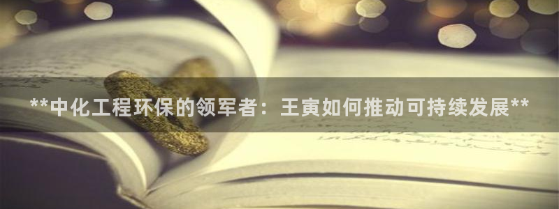 亿万手游官网网址：**中化工程环保的领军者：王寅如何推动可持续发展**