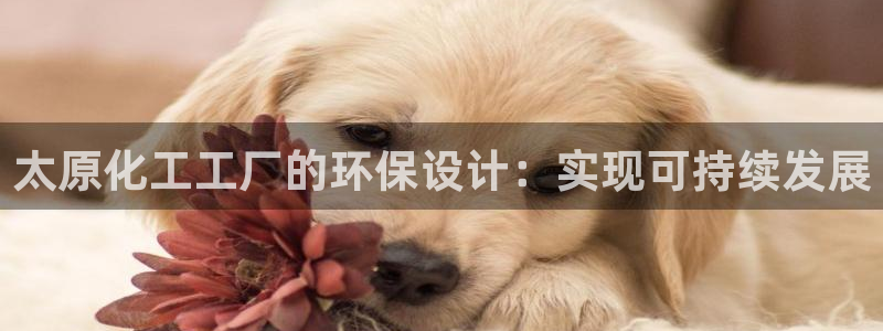 亿万同人字幕分享jogoduplo：太原化工工厂的环保设计：实现可持续发展