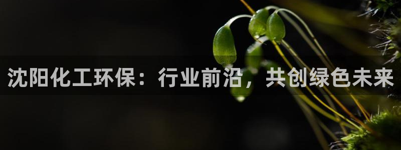 亿万先生官方网站下载安装：沈阳化工环保：行业前沿，共创绿色未来
