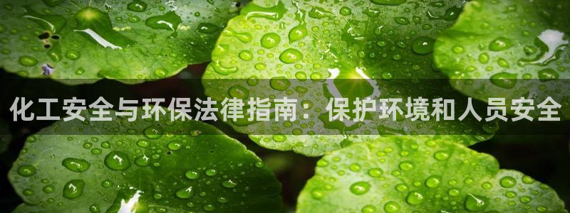 亿万剧集：化工安全与环保法律指南：保护环境和人员安全