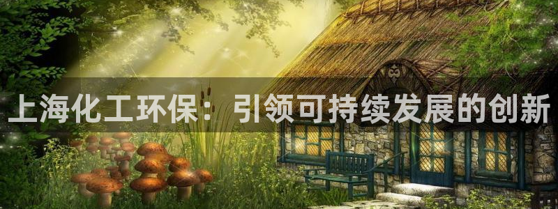 亿万先生情侣车有什么用：上海化工环保：引领可持续发展的创新