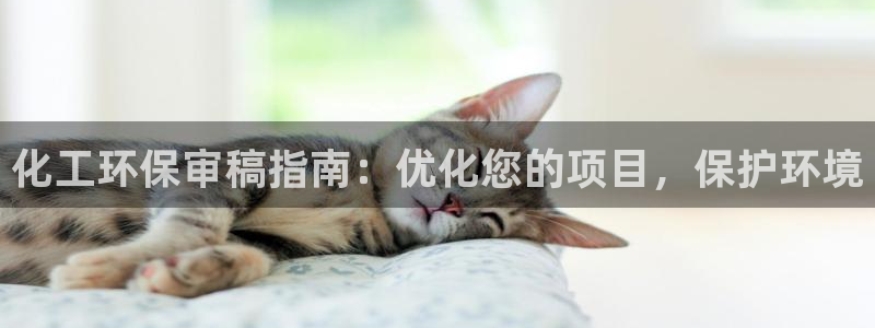 亿万billions：化工环保审稿指南：优化您的项目，保护环境