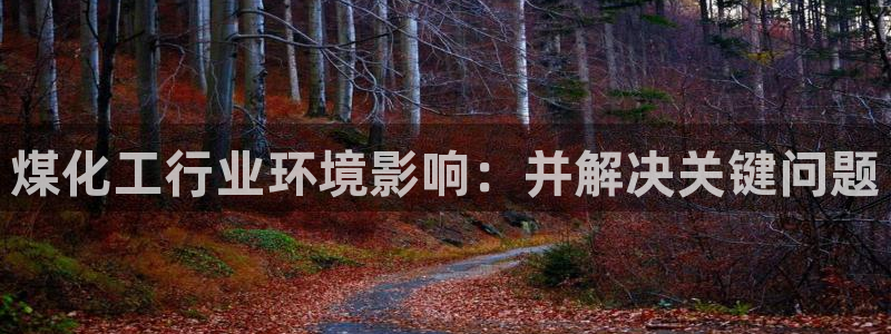 亿万集团：煤化工行业环境影响：并解决关键问题