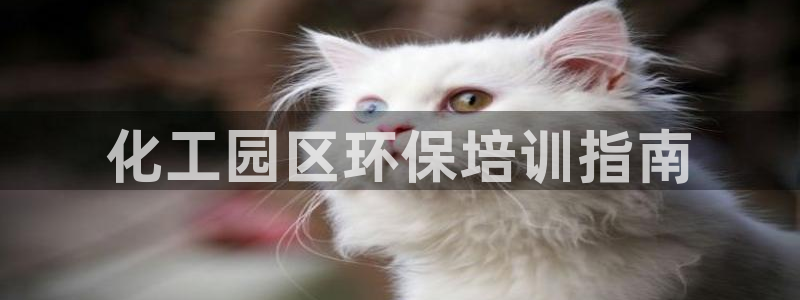 亿万先生下载客户端：化工园区环保培训指南