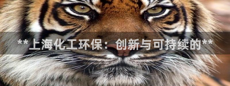 亿万先生mr07：**上海化工环保：创新与可持续的**