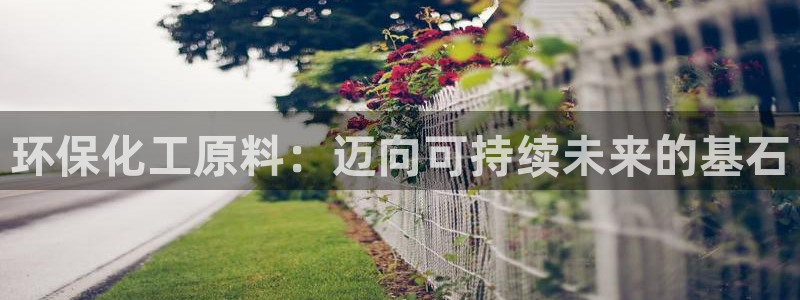 亿万先生官方网站首页：环保化工原料：迈向可持续未来的基石