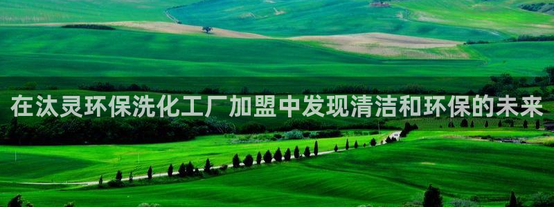 亿万先生mr07：在汰灵环保洗化工厂加盟中发现清洁和环保的未来