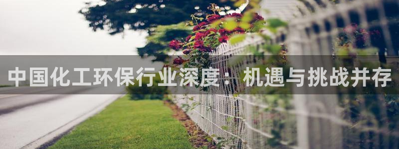 亿万同人字幕组微博的微博：中国化工环保行业深度：机遇与挑战并存