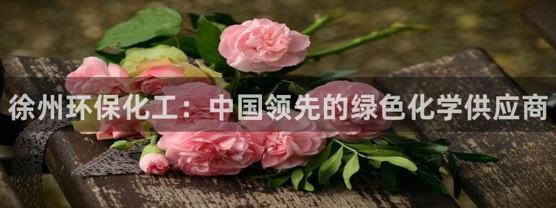 亿万城市手游：徐州环保化工：中国领先的绿色化学供应商