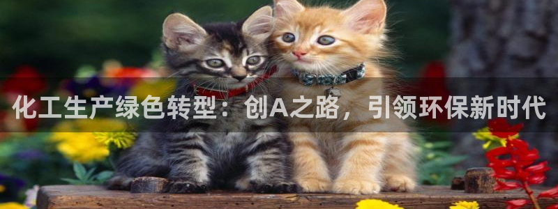 亿万先生客户端下载安装：化工生产绿色转型：创A之路，引领环保新时代