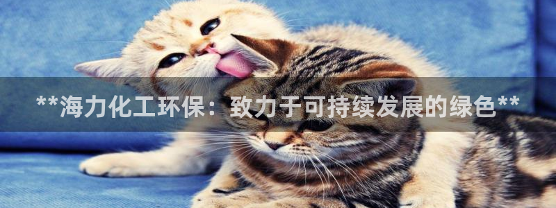 亿万国际：**海力化工环保：致力于可持续发展的绿色**