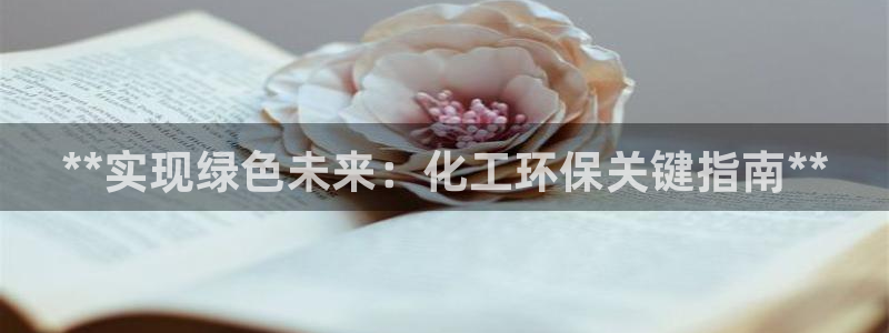 亿万先生网址改了吗：**实现绿色未来：化工环保关键指南**