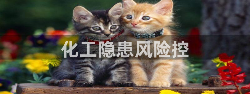 亿万网络科技有限公司：化工隐患风险控