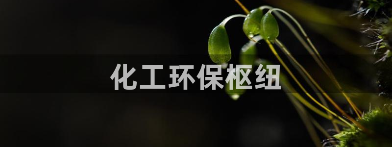 亿万网友在线实时为您解答：化工环保枢纽