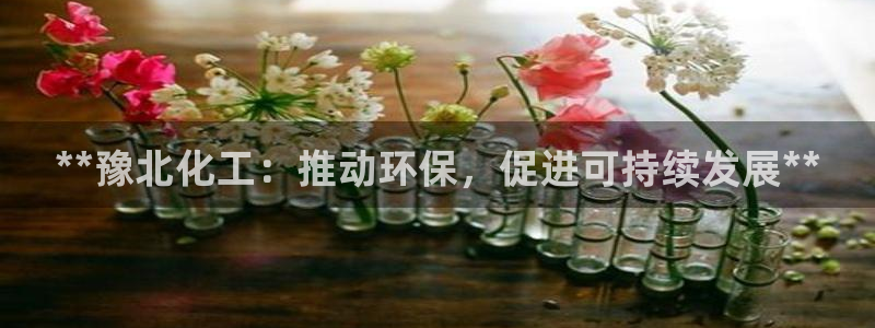亿万先生：**豫北化工：推动环保，促进可持续发展**