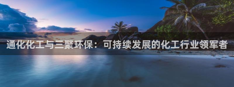 亿万集团有限公司：通化化工与三聚环保：可持续发展的化工行业领军者