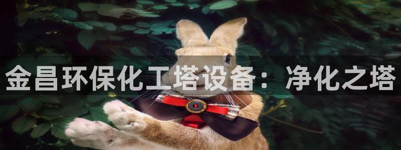 亿万先生手游下载官网：金昌环保化工塔设备：净化之塔