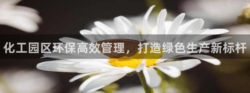 亿万先生客户端官网登录：化工园区环保高效管理，打造绿色生产新标杆
