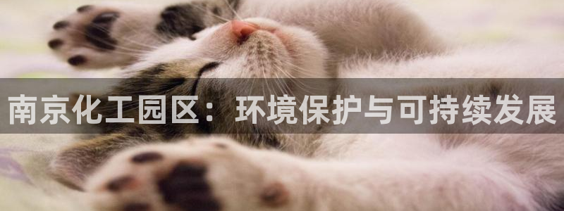 亿万第一集：南京化工园区：环境保护与可持续发展