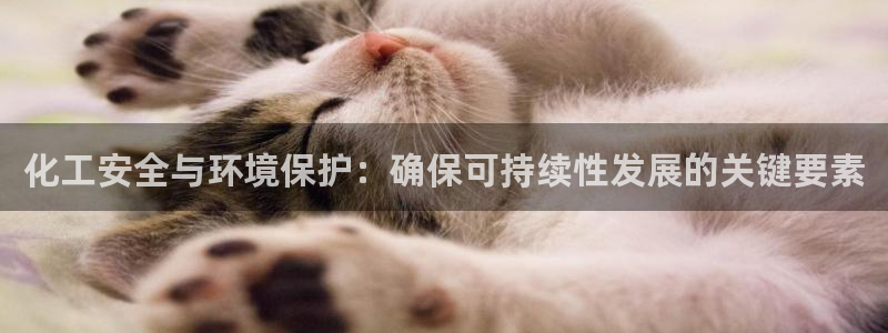 亿万先生客服联系方式：化工安全与环境保护：确保可持续性发展的关键要素