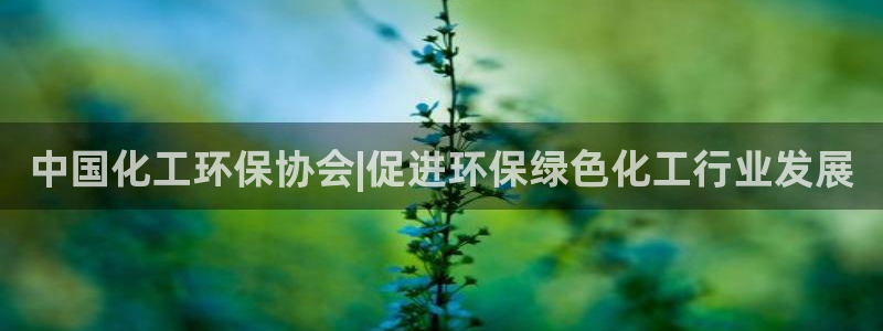 亿万网友在线实时为你解答：中国化工环保协会|促进环保绿色化工行业发展