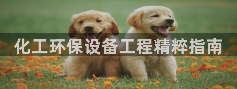亿万先生充电桩怎么样：化工环保设备工程精粹指南