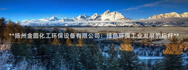 亿万网友在线解答：**扬州金圆化工环保设备有限公司：绿色环保工业发展的标杆**