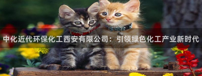亿万百度吧：中化近代环保化工西安有限公司：引领绿色化工产业新时代