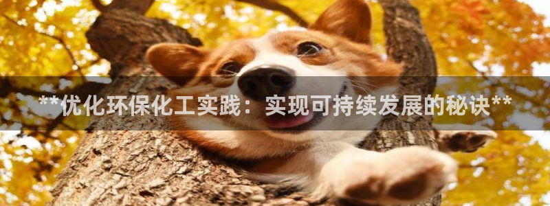 亿万先生手机版入口在哪：**优化环保化工实践：实现可持续发展的秘诀**