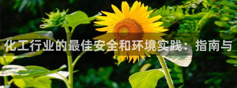 亿万先生官方客服电话：化工行业的最佳安全和环境实践：指南与