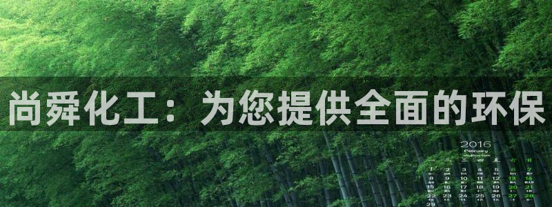 亿万先生下载客户端：尚舜化工：为您提供全面的环保